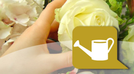 AADSP au salon de l’emploi et de la formation à Argenteuil